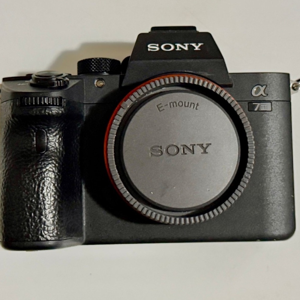 Sony Alpha a7 III Mirrorless Camera (Body Only)